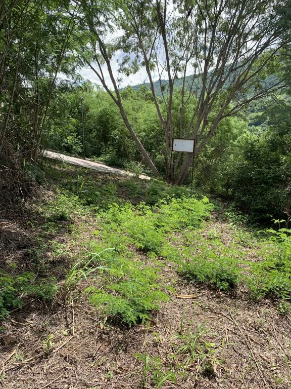 LOTE NO 7. URBANIZACION RIVERA CAMPESTRE