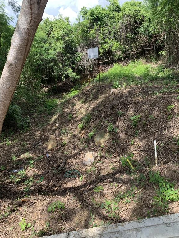 LOTE NO 7. URBANIZACION RIVERA CAMPESTRE
