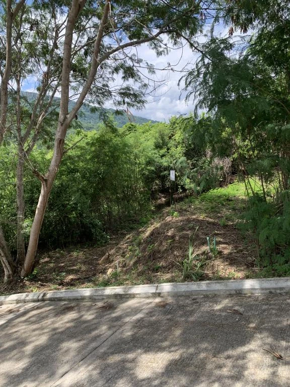 LOTE NO 7. URBANIZACION RIVERA CAMPESTRE