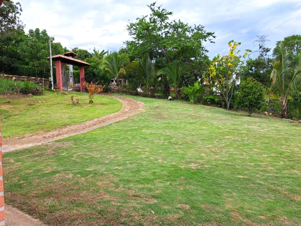 LOTE NO. 4 PARCELA EL TRIANGULO DE ORO VEREDA CAPELLANIA MUNICIPIO PINCHOTE