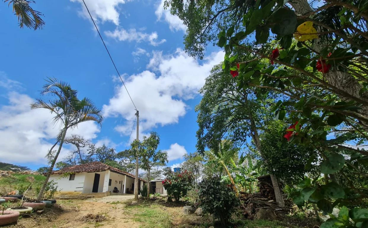 LOTES VEREDA LA PEÑA MUNICIPIO DE CURITI 