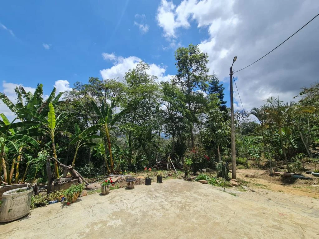 LOTES VEREDA LA PEÑA MUNICIPIO DE CURITI 