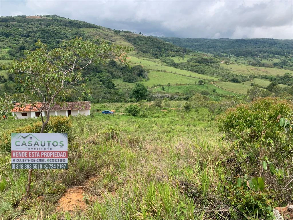 FINCA VILLA FABI Y LOTE LAS ROSAS  VEREDA LLANO GRANDE MUNICIPO PINCHOTE 