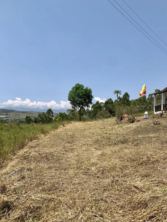 FINCA VILLA FABI Y LOTE LAS ROSAS  VEREDA LLANO GRANDE MUNICIPO PINCHOTE 