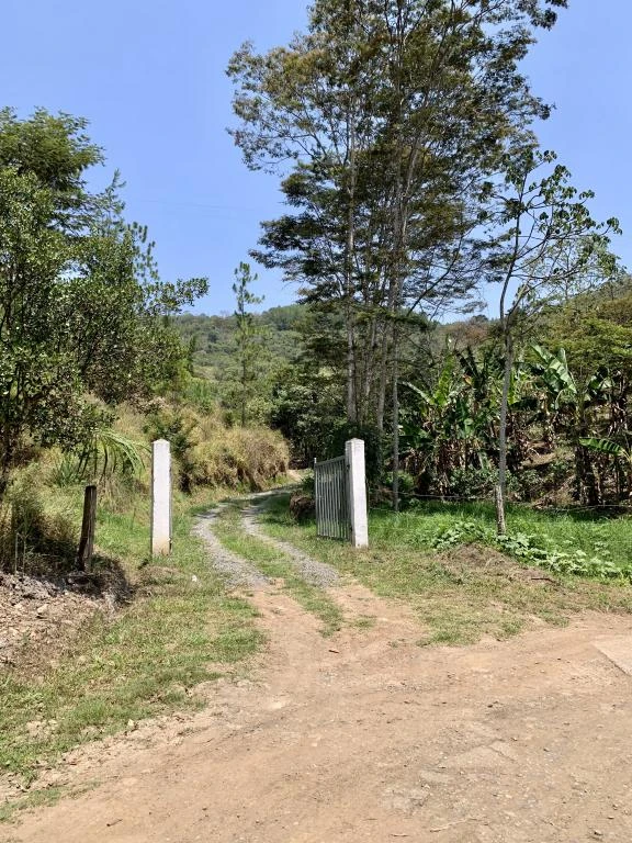 FINCA VILLA FABI Y LOTE LAS ROSAS  VEREDA LLANO GRANDE MUNICIPO PINCHOTE 