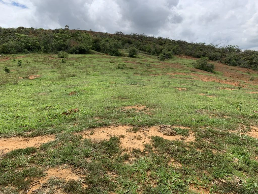 LOTE NO. 2 MIRADOR BARICHARA VEREDA EL CAUCHO MUNICIPIO DE VILLANUEVA 