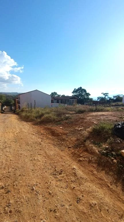 LOTE NO. 41 MUNICIPIO BARICHARA