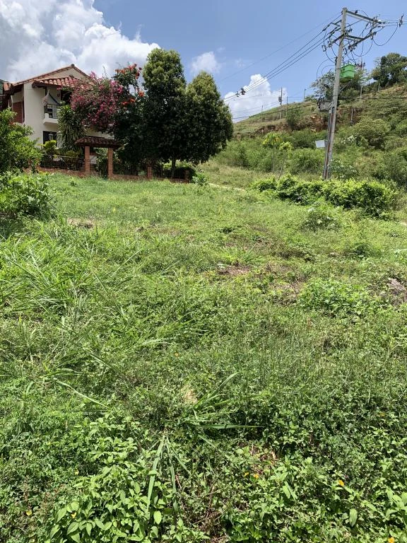 LOTE NO. 25 CLUB BANCARIOS M. PINCHOTE