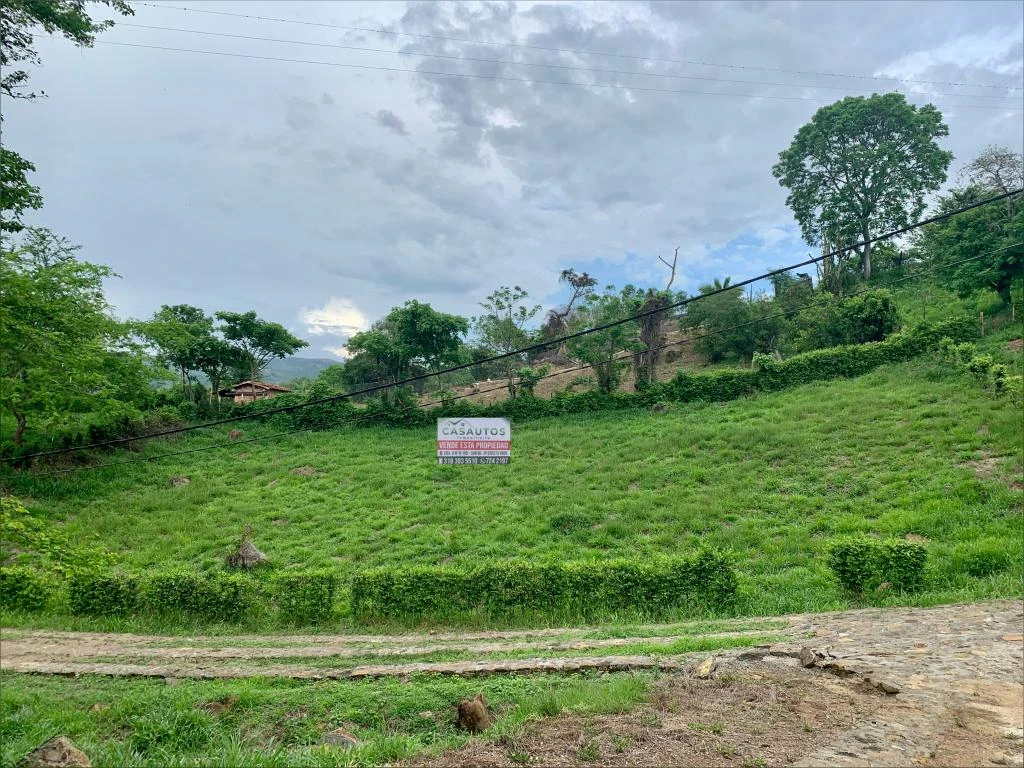 LOTE NO. 55 PARCELACION CASTILLO REAL M. PINCHOTE 