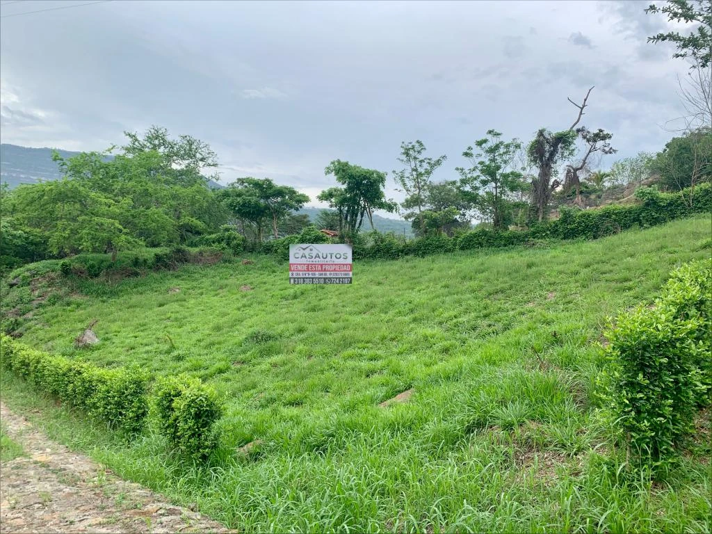 LOTE NO. 55 PARCELACION CASTILLO REAL M. PINCHOTE 