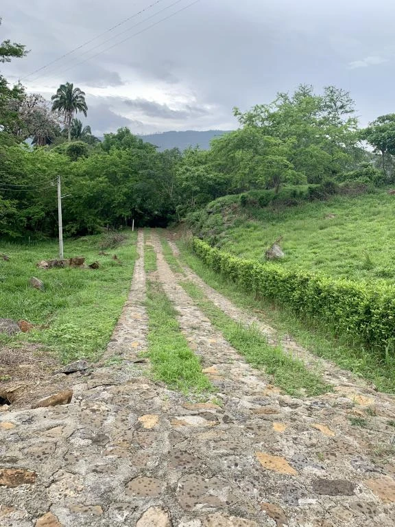 LOTE NO. 55 PARCELACION CASTILLO REAL M. PINCHOTE 