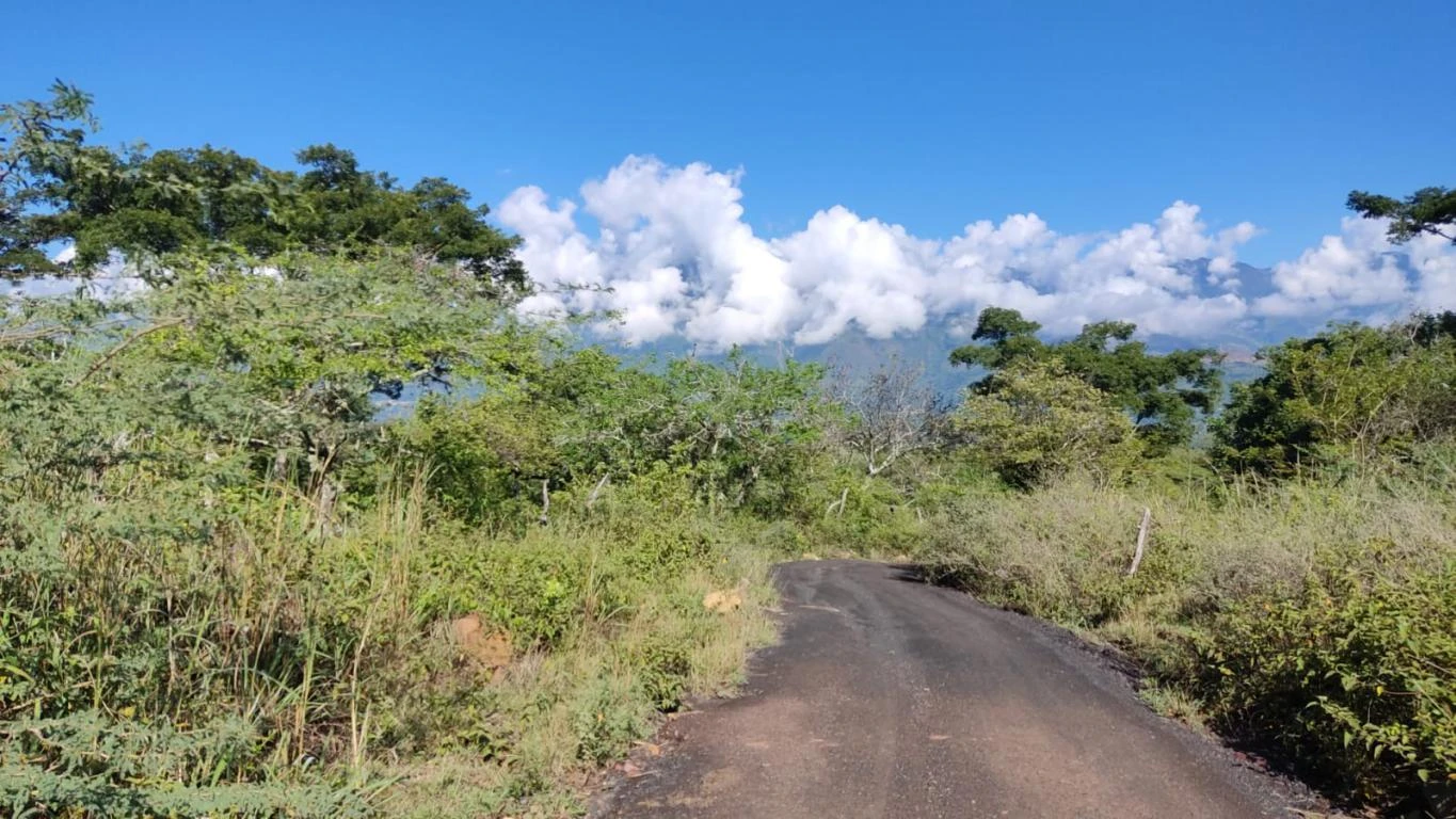 FINCA EL CAUCHO M. BARICHARA