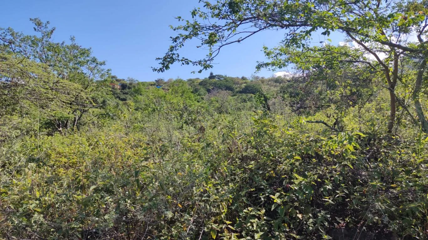 FINCA EL CAUCHO M. BARICHARA