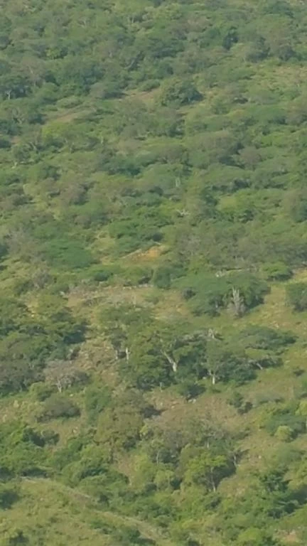 FINCA EL CAUCHO M. BARICHARA