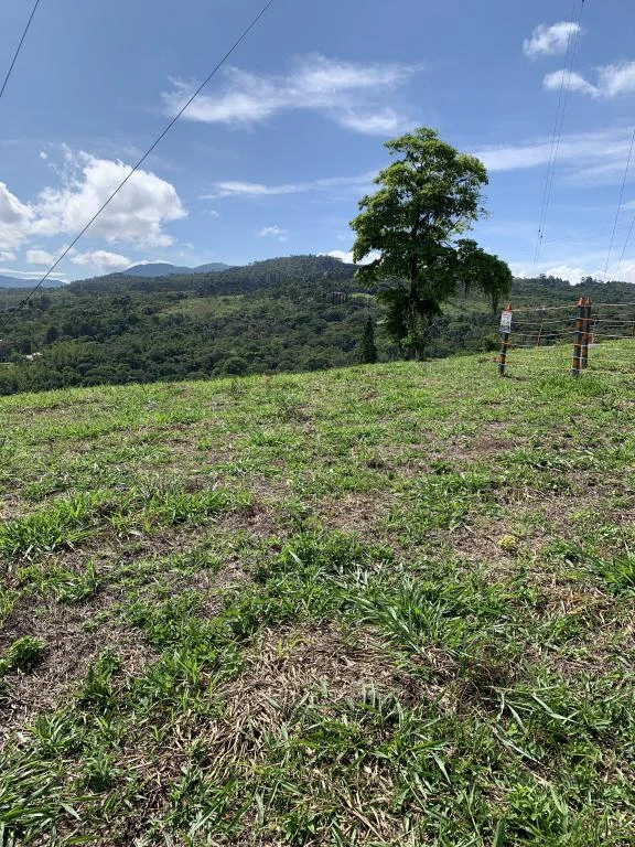 LOTE NO. 1 VEREDA BUENOS AIRES -EL CERRO