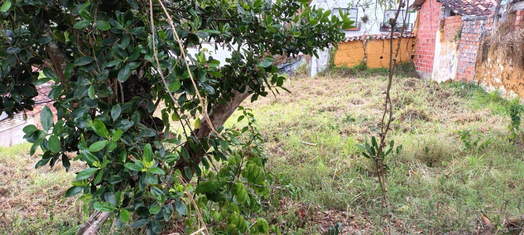 LOTE NO. 3 B.CENTRO MUNICIPIO DE CURITI 