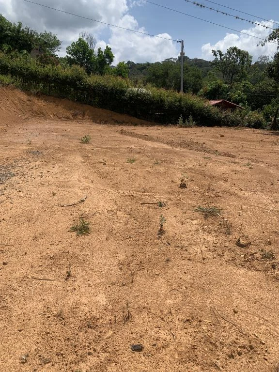 LOTE LOS TRINITARIOS VEREDA LA FLORA