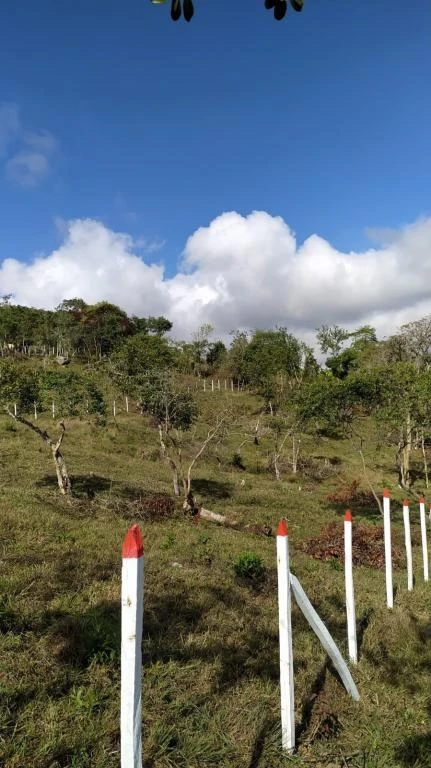 LOTE 3 LA FORTUNA MUNICIPIO CURITI 