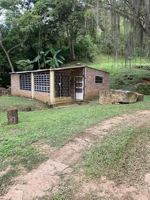 FINCA VERACRUZ VEREDA MONTECITOS 
