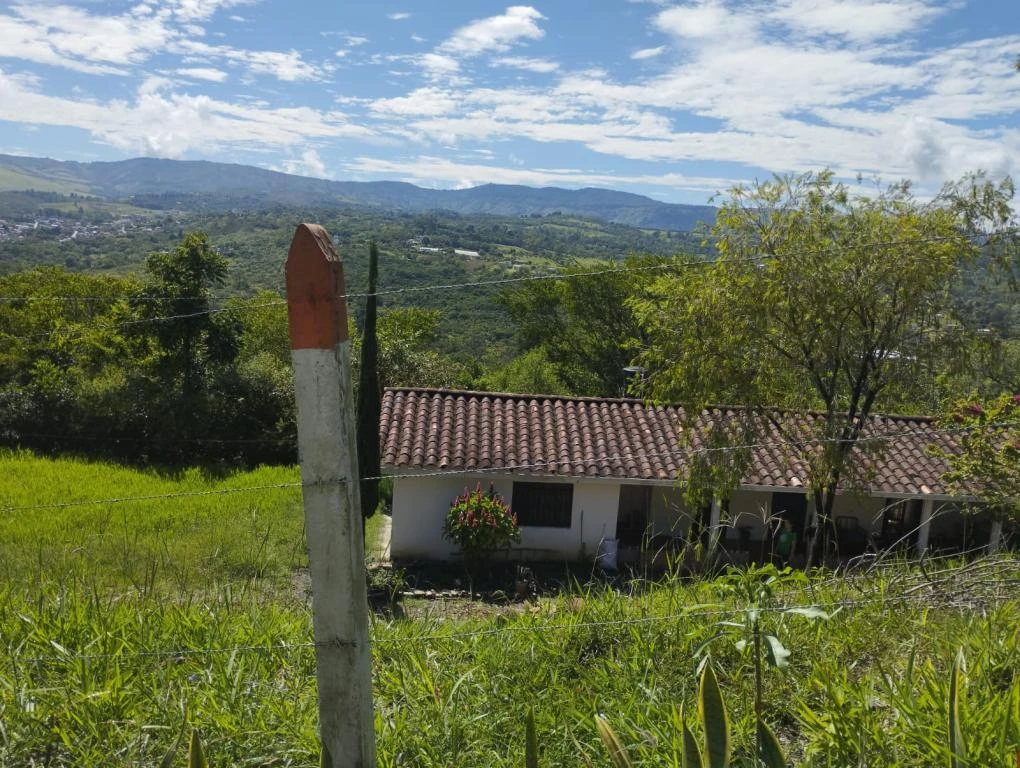 LOTE 4 LA MILAGROSA CURITI 