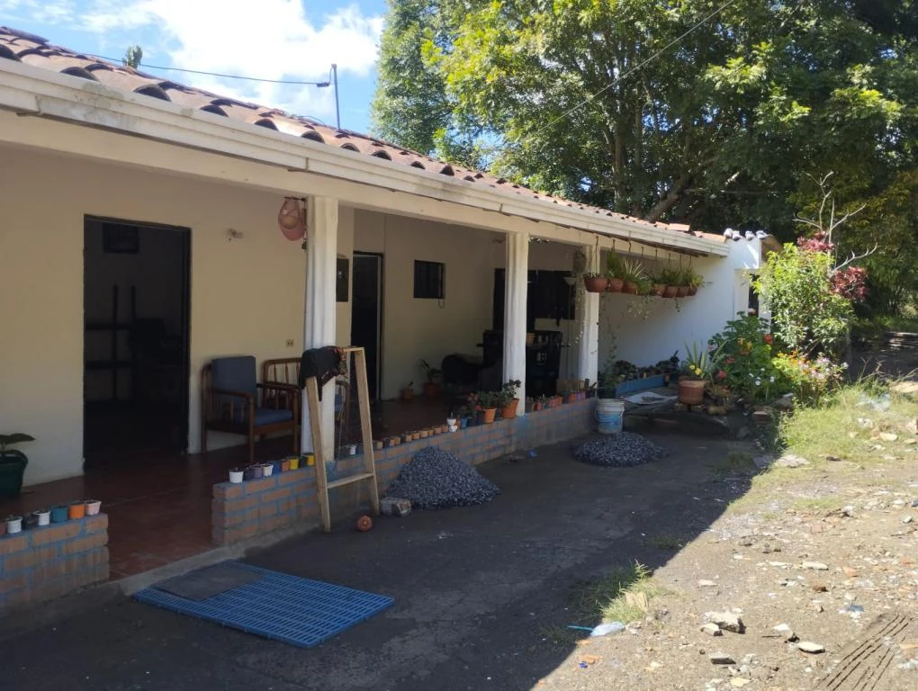 LOTE 4 LA MILAGROSA CURITI 