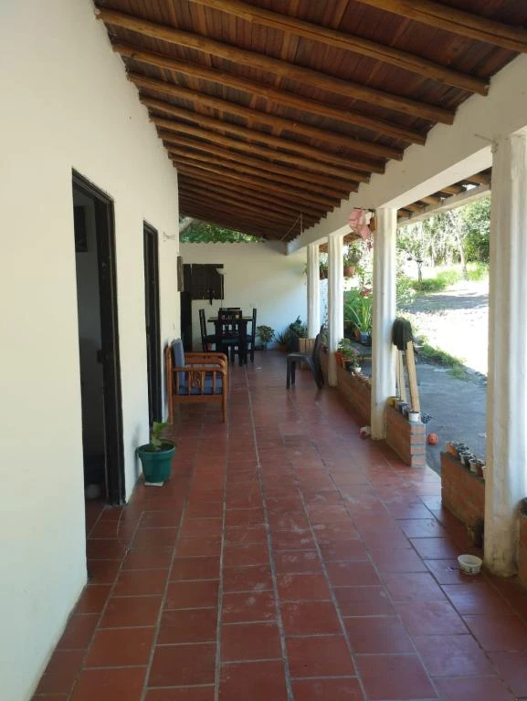 LOTE 4 LA MILAGROSA CURITI 