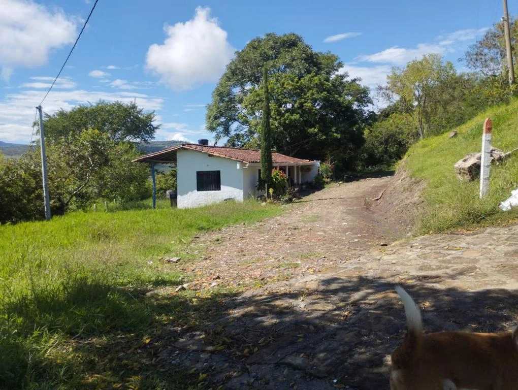 LOTE 4 LA MILAGROSA CURITI 