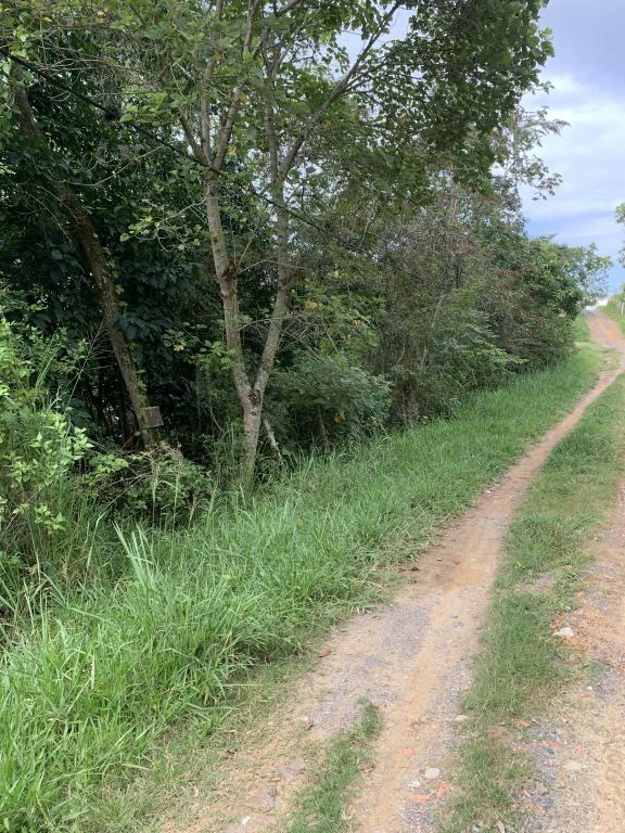 LOTE NO. 6 MIRADOR GUANE VEREDA MONTECITOS 