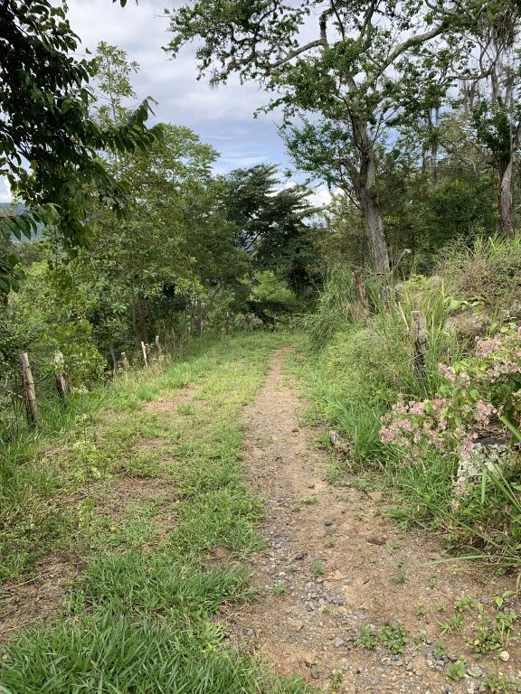 LOTE NO. 6 MIRADOR GUANE VEREDA MONTECITOS 