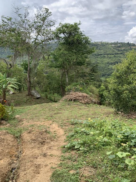 LOTE NO. 6 MIRADOR GUANE VEREDA MONTECITOS 