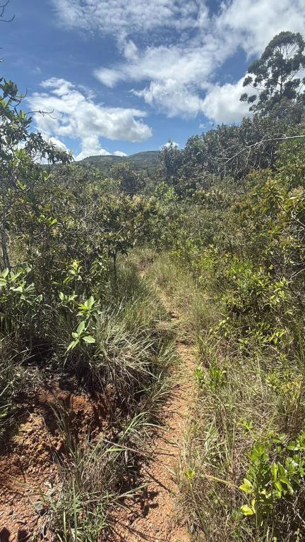 LOTE NO. 6 LA FORTUNA MUNICIPIO BARICHARA 