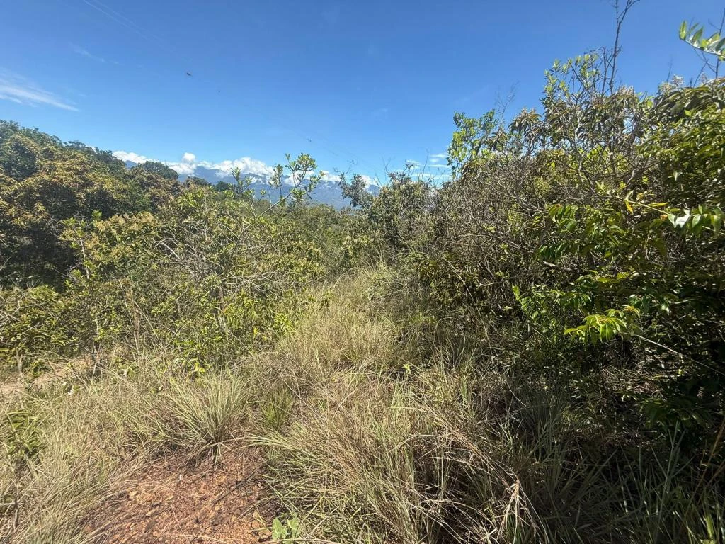 LOTE NO. 6 LA FORTUNA MUNICIPIO BARICHARA 