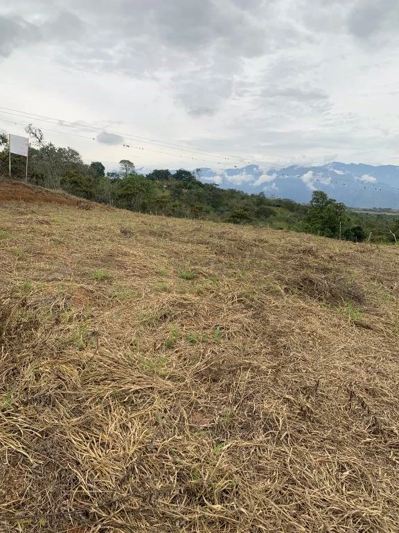 LOTE NO. 6 LA FORTUNA MUNICIPIO BARICHARA 