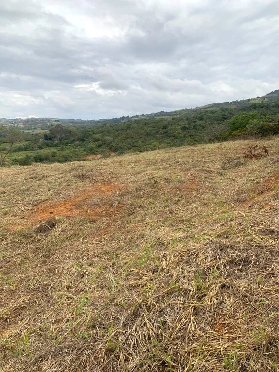 LOTE NO. 6 LA FORTUNA MUNICIPIO BARICHARA 