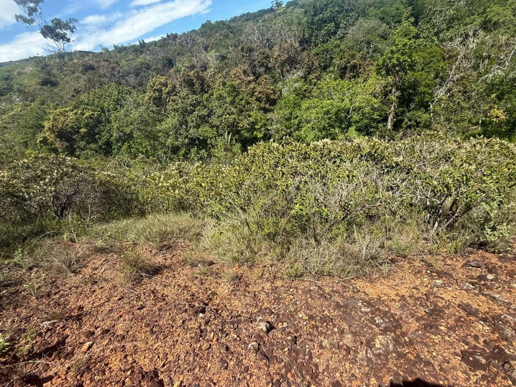 LOTE NO. 6 LA FORTUNA MUNICIPIO BARICHARA 