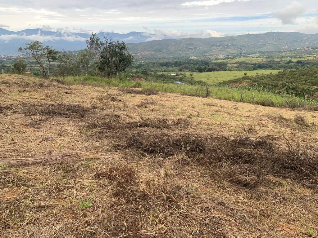 LOTE NO. 6 LA FORTUNA MUNICIPIO BARICHARA 