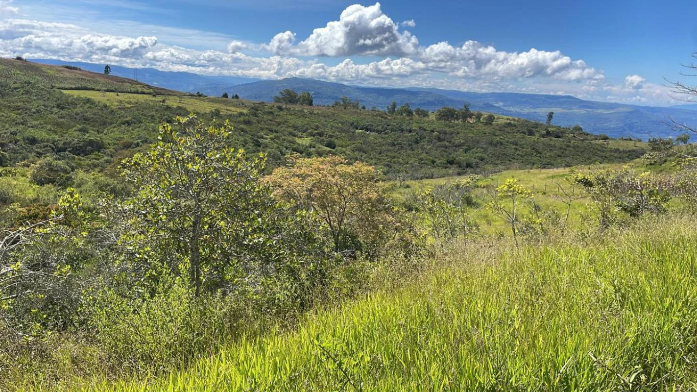 LOTE NO. 4 VILLA LAURA VEREDA LOS POZOS 