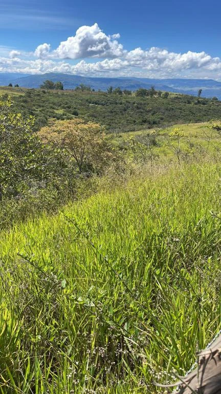 LOTE NO. 4 VILLA LAURA VEREDA LOS POZOS 