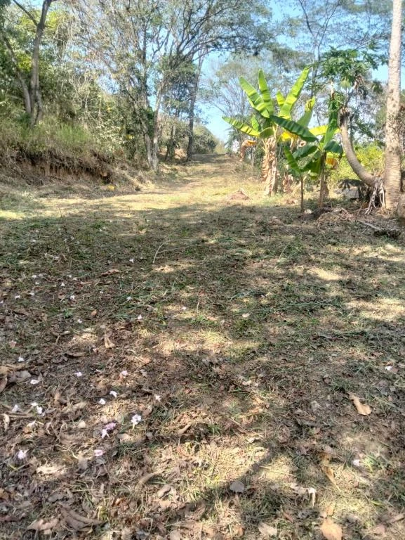 FINCA NUMERO 2 EL MORAL VEREDA SAN CARLOS MUNICIPIO CURITI