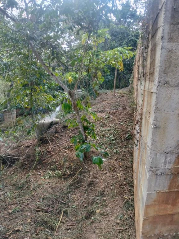 FINCA NUMERO 2 EL MORAL VEREDA SAN CARLOS MUNICIPIO CURITI