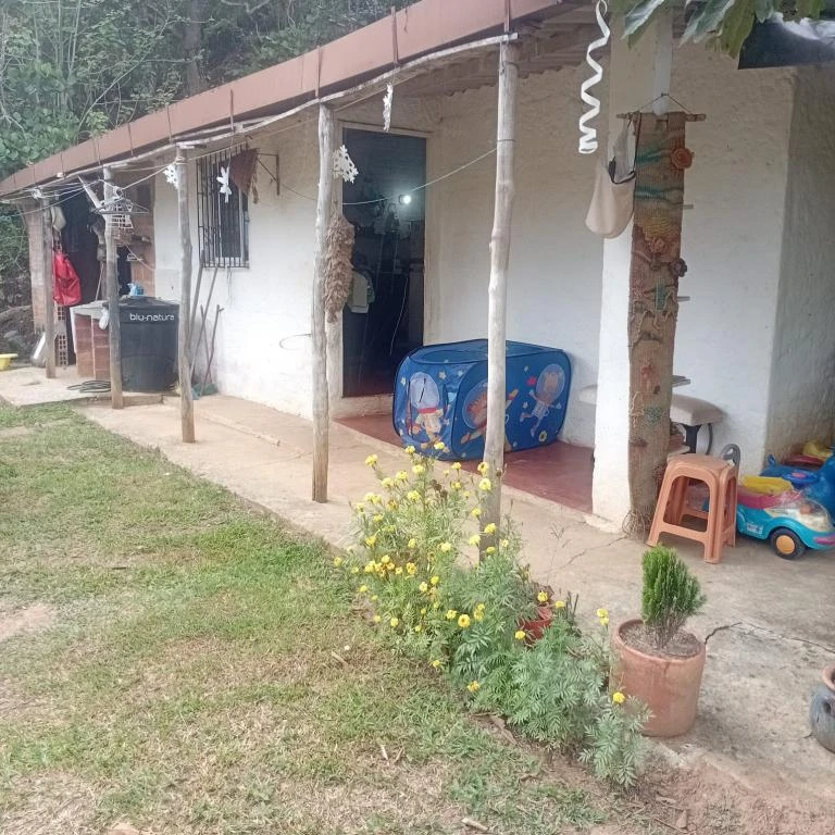 FINCA NUMERO 2 EL MORAL VEREDA SAN CARLOS MUNICIPIO CURITI