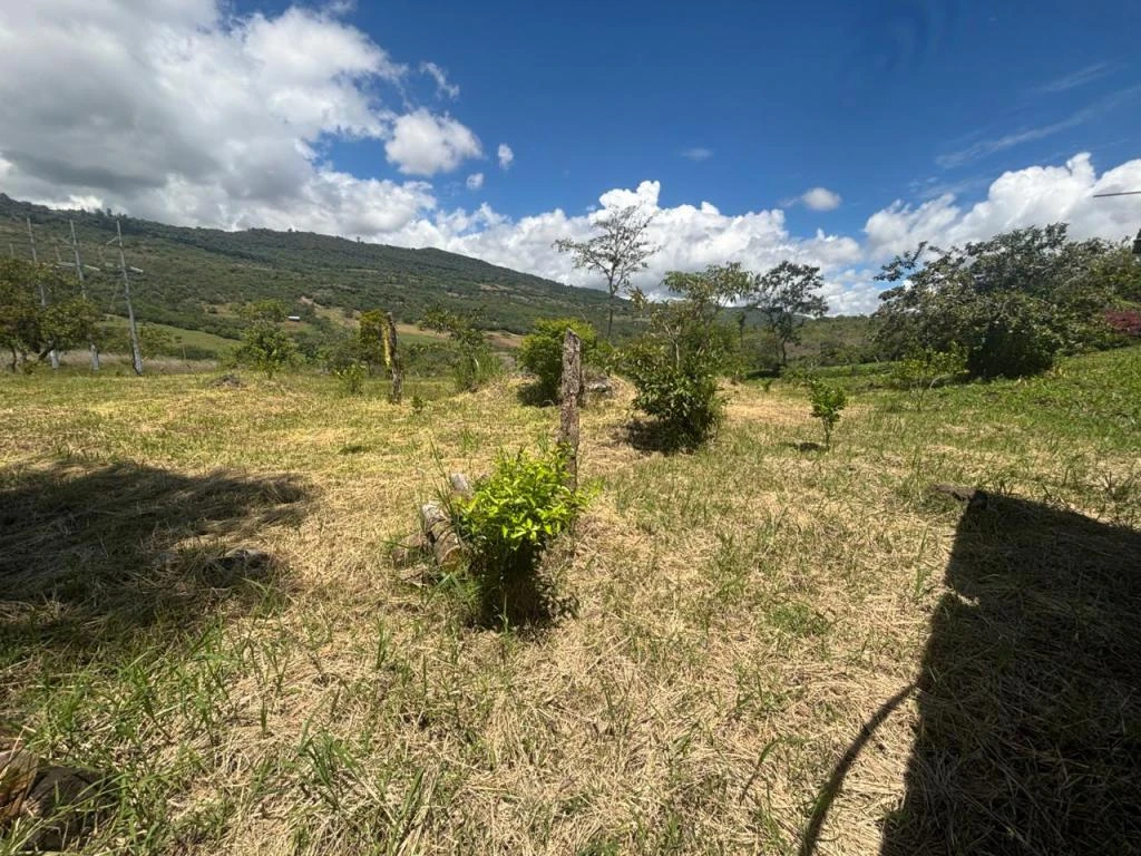 LOTE MUNAY VEREDA MACAREGUA MUNICIPIO CURITI