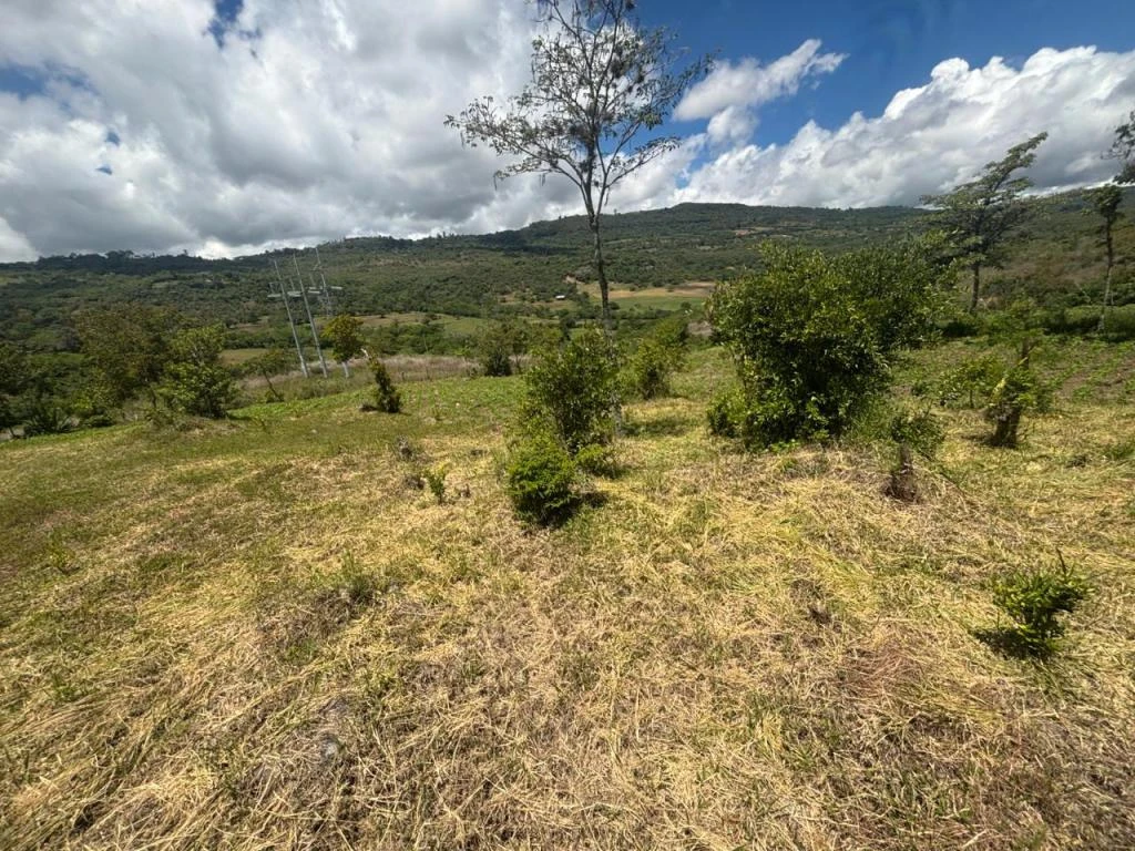 LOTE MUNAY VEREDA MACAREGUA MUNICIPIO CURITI