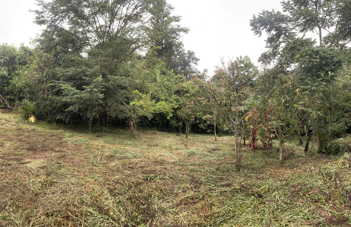 PARCELA NO. 7 VEREDA CAMPO HERMOSO