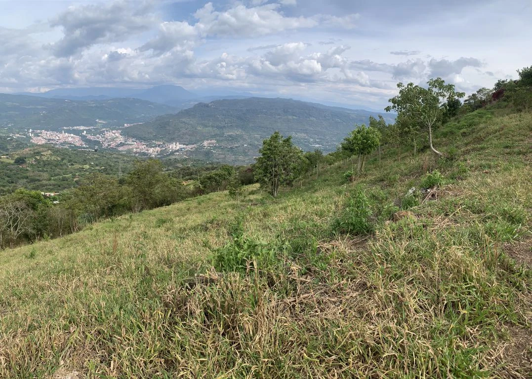LOTE NO. 2 LAS MARGARITAS VEREDA GUARIGUA ALTO 