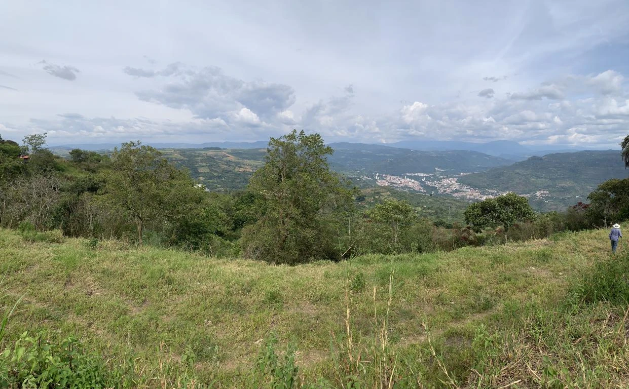 LOTE NO. 2 LAS MARGARITAS VEREDA GUARIGUA ALTO 